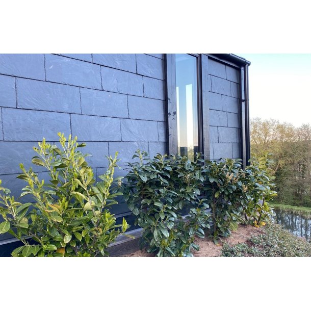 Spansk Rustik Skifer