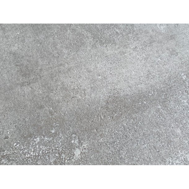 Languedoc - Haveflise - Pallesalg