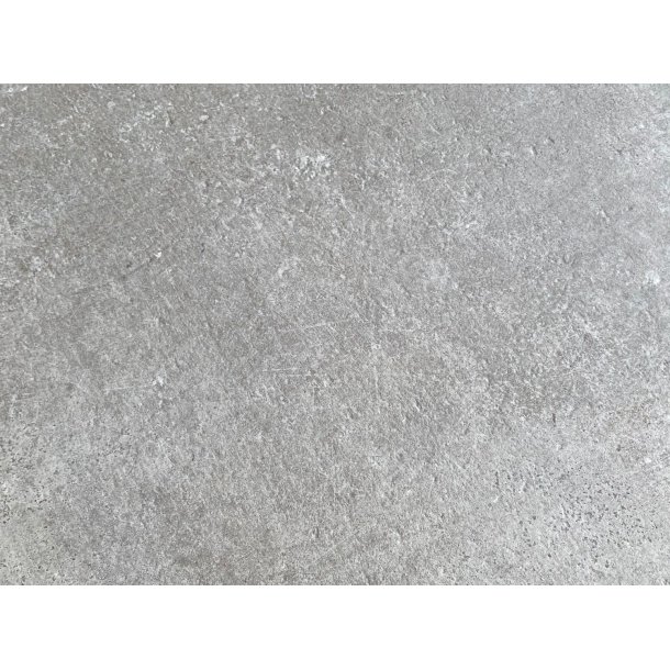 Languedoc - Haveflise - Pallesalg