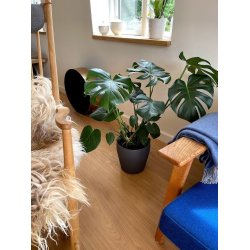 Rosenborg Living Clear White - Lamel plank