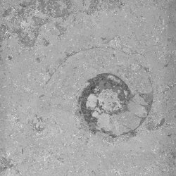 Jura Gr / Grau. Slebet